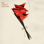 Kelly Clarkson – red flag collector
