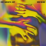 Riton X David Guetta X Jozzy – Where You Want
