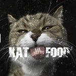 Lil Wayne, Kat Food Download MP3 Leak
