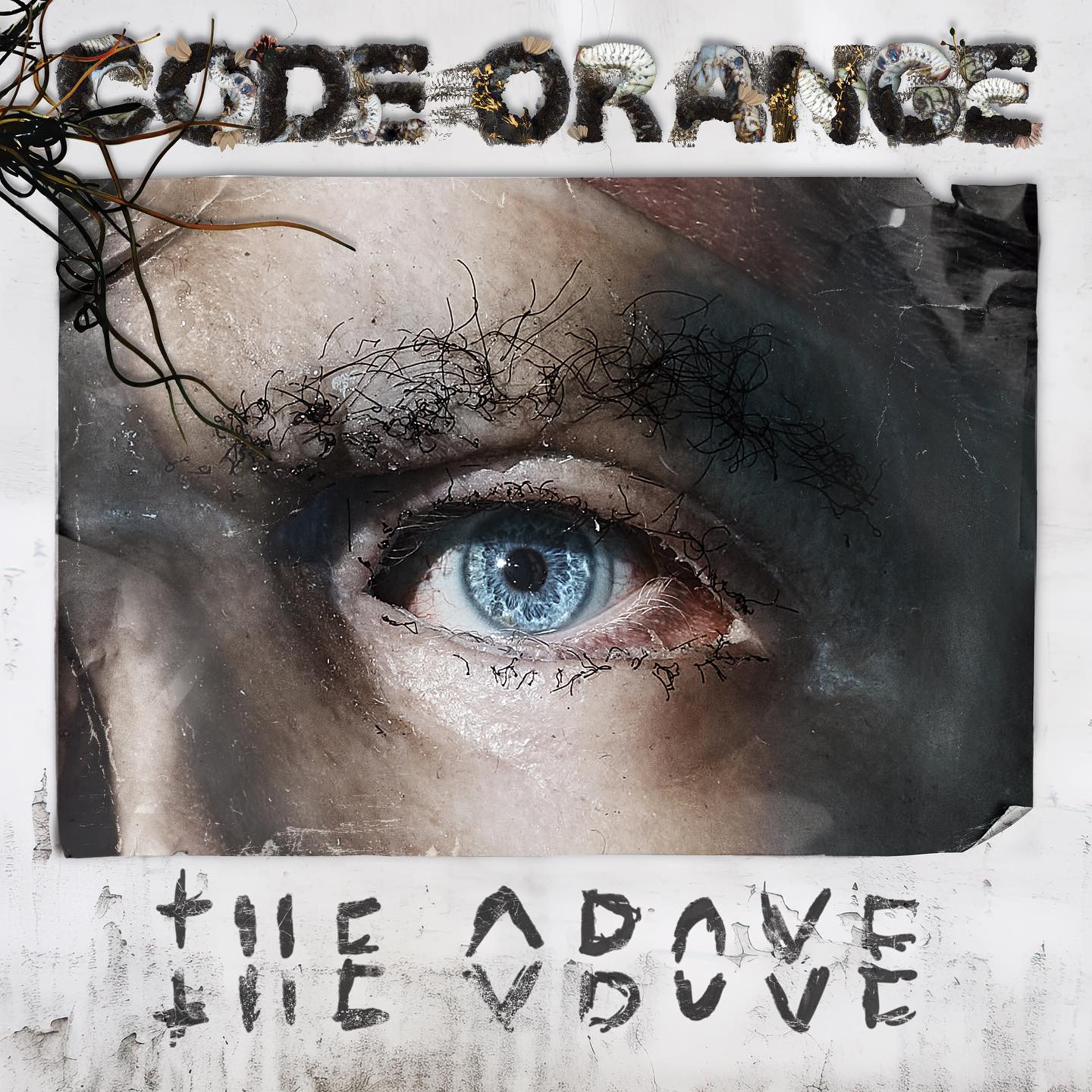 Code Orange‘s “The Above” Album Download Leak MP3 ZIP Files