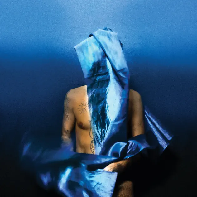Devendra Banhart, Flying Wig Album Download Leak MP3 ZIP Files