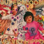 Superbloom, Velvet Hippo Download MP3