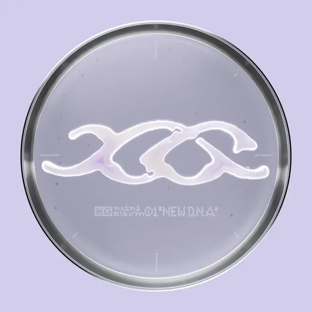 XG, NEW DNA Album Download MP3 ZIP Files