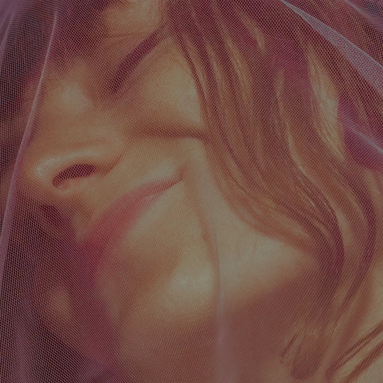 Halo Maud‘s “Celebrate” Album Download Leak MP3 ZIP Files