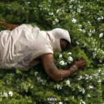 NoCap‘s “Before / Disappear Again” Album Download ZIP MP3 Free File